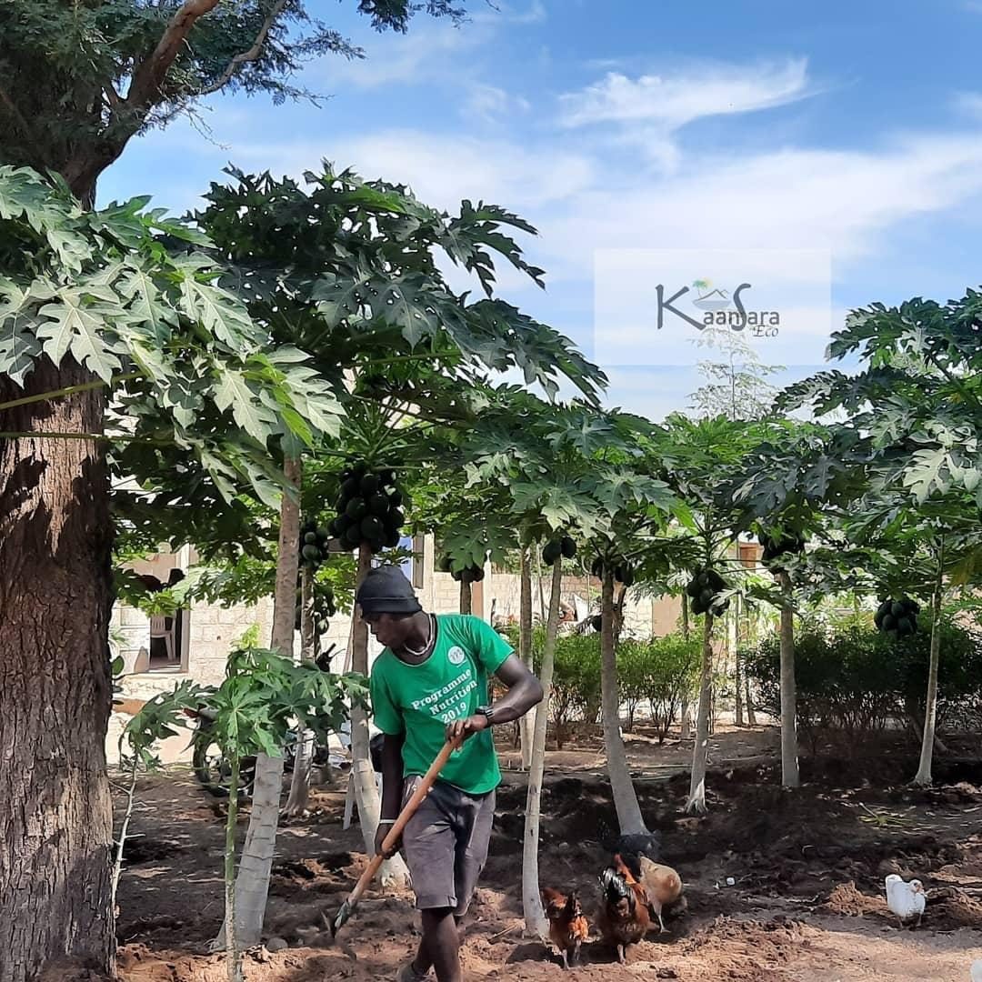 À VENDRE — KAAN SARA ECO | BAR DOMAINE ÉCOTOURISTIQUE & ÉVÉNEMENTIEL