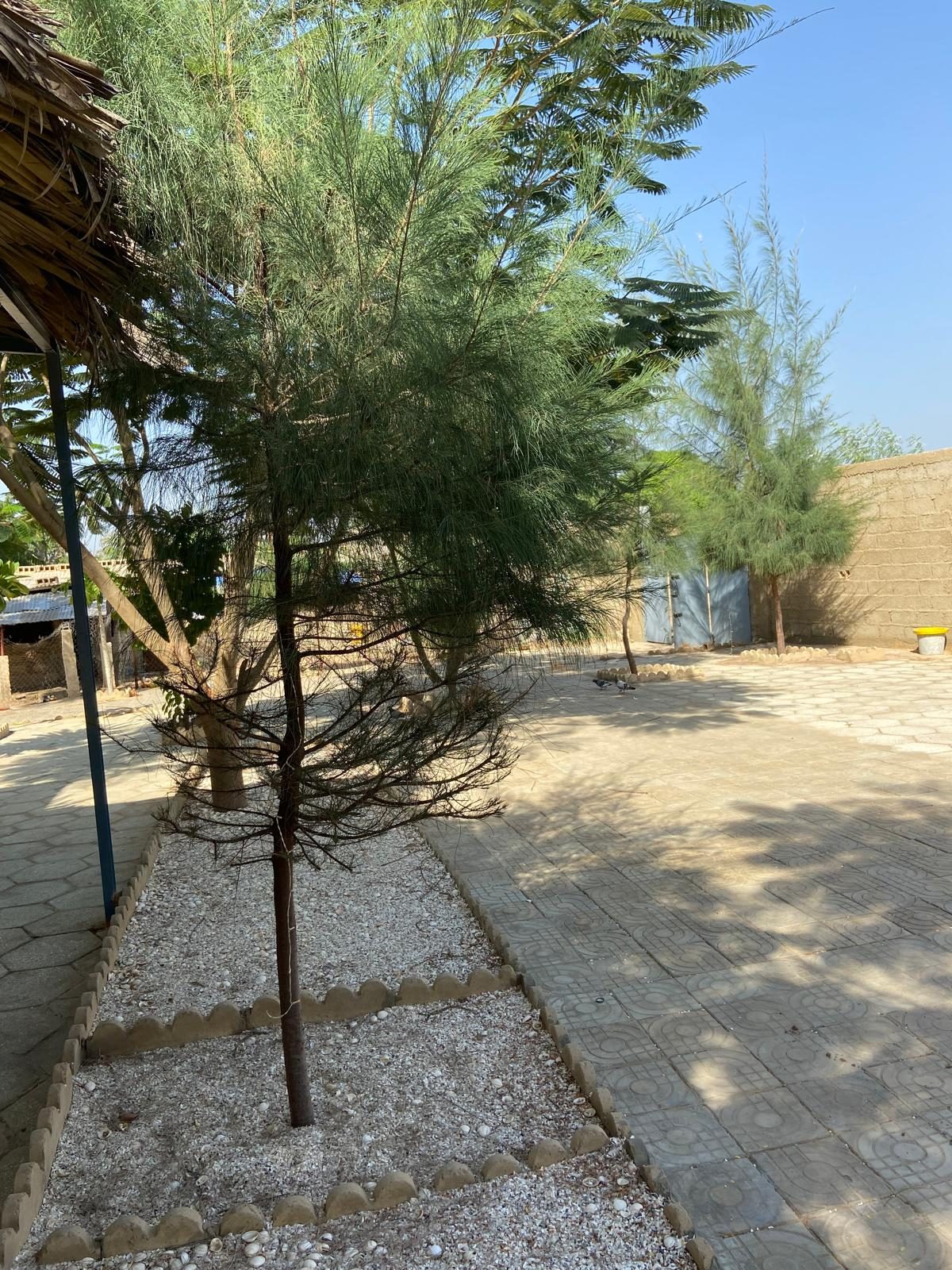 À VENDRE — KAAN SARA ECO | BAR DOMAINE ÉCOTOURISTIQUE & ÉVÉNEMENTIEL