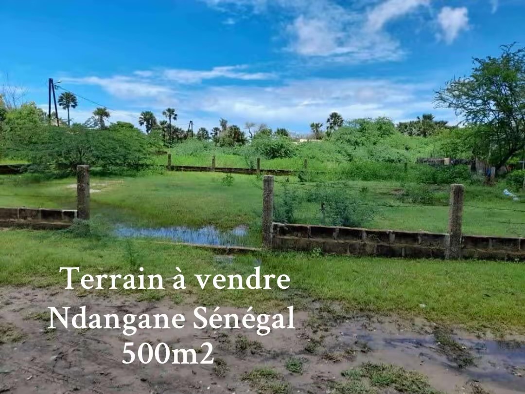 terrain à vendre ndangane