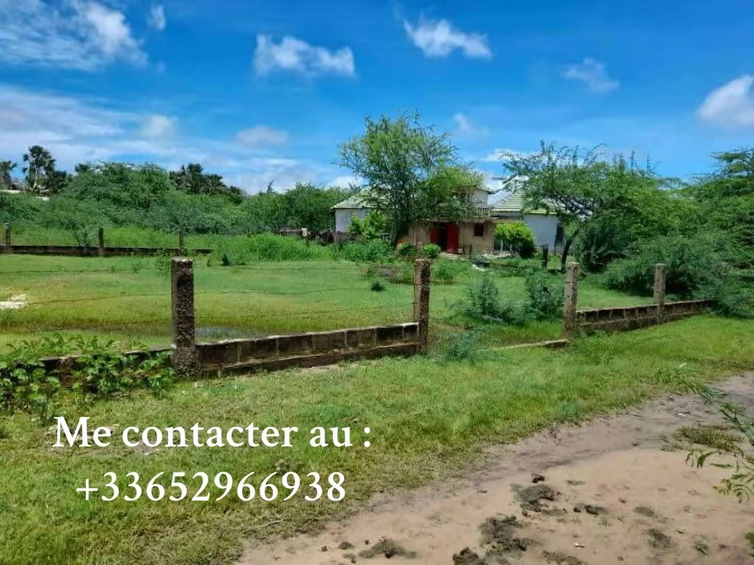 terrain à vendre ndangane